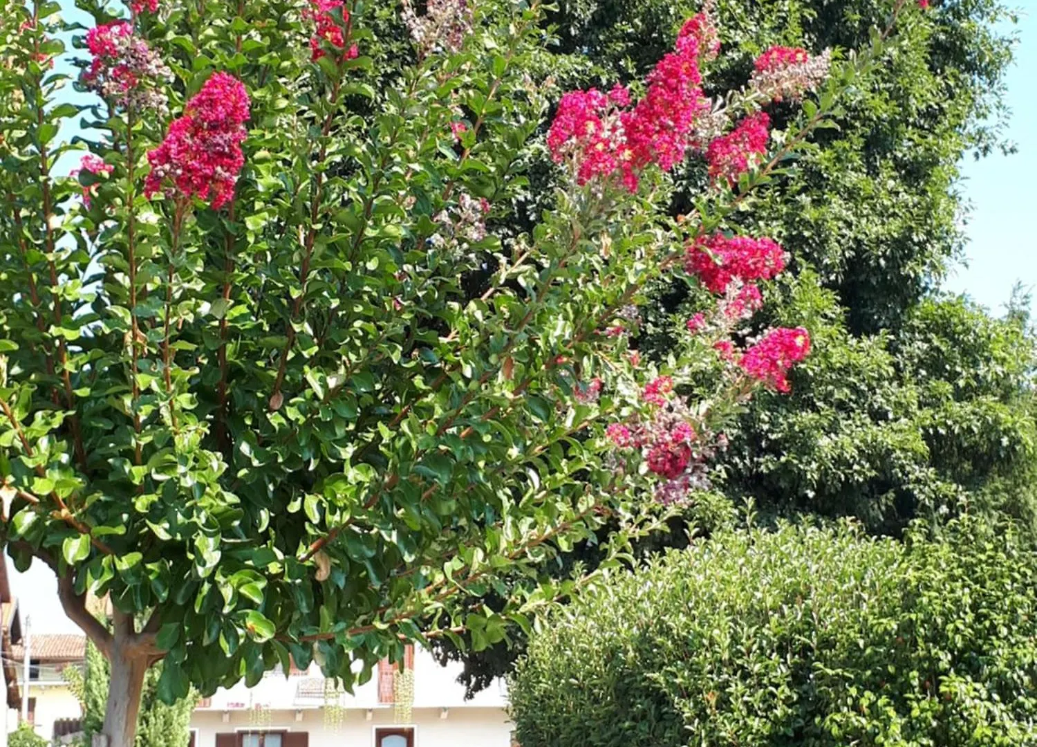 Cascina Colombo Apartment Oleggio